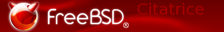FreeBSD local bash org